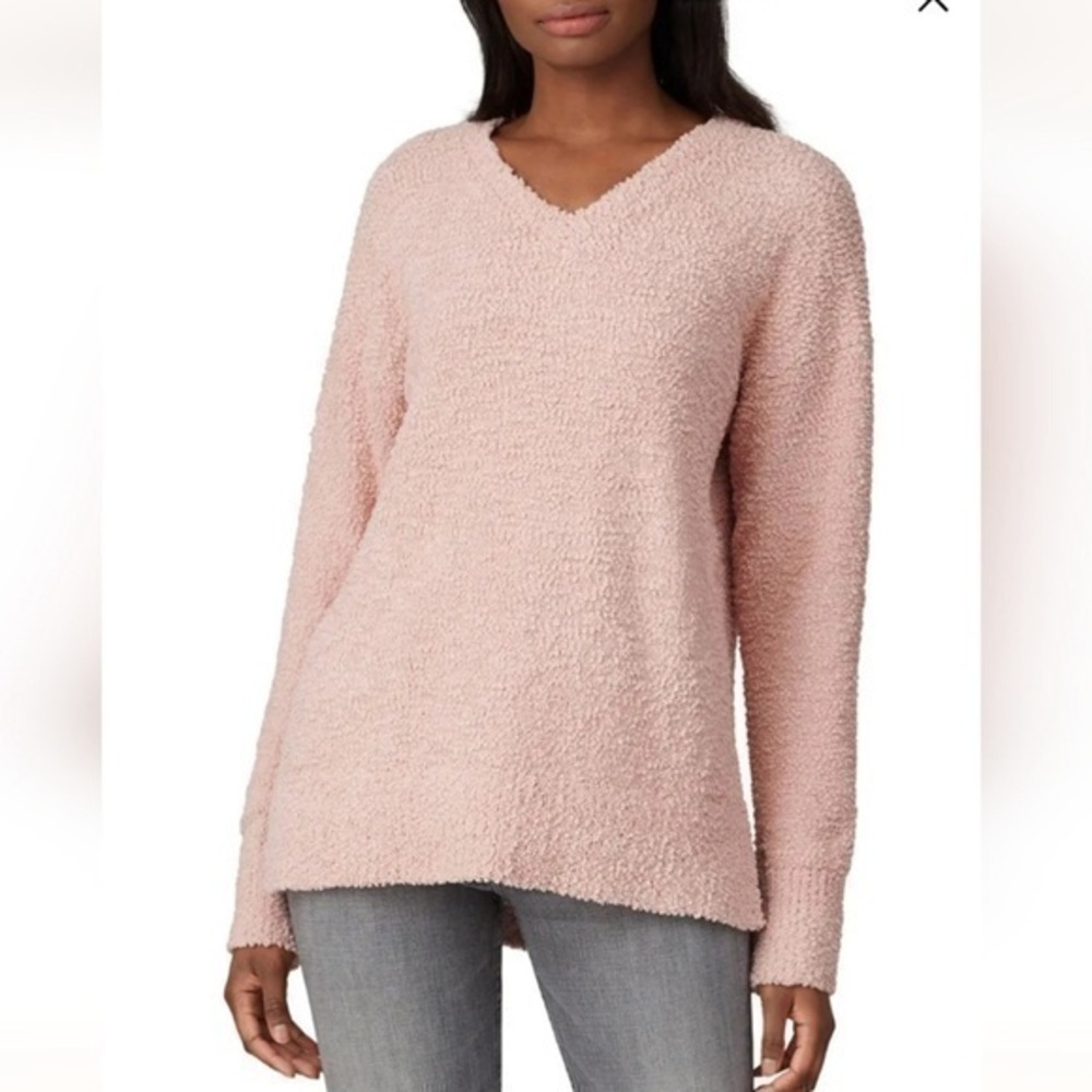 Sanctuary V-neck Sweater